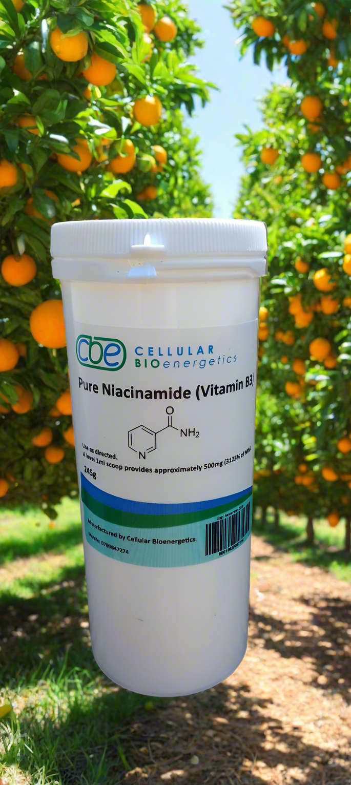 Pure Niacinamide (Vitamin B3) Powder – 245g